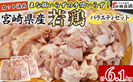 【カット済み】宮崎県産若鶏バラエティセット 計6.1kg 国産 鶏肉 若鶏 もも肉 モモ むね肉 ムネ 肩肉 ささみ ミンチ 小分け カット 冷凍