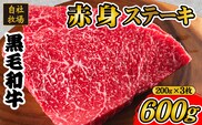 【自社牧場和牛】小林市産 黒毛和牛 赤身ステーキ 200g×3枚（牛肉 国産牛 黒毛和牛 和牛 赤身 ステーキ）