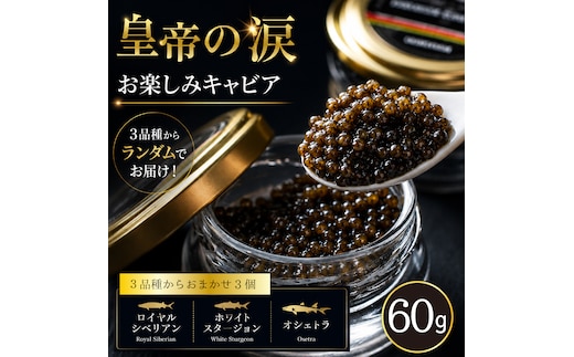 【お試しキャビア】皇帝の涙 60g 3品種からランダムで3個（オシェトラ・ホワイトスタージョン）国産 チョウザメ キャビア