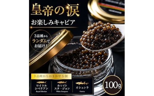 【お試しキャビア】皇帝の涙 100g 3品種からランダムで5個（オシェトラ・ホワイトスタージョン）国産 チョウザメ キャビア