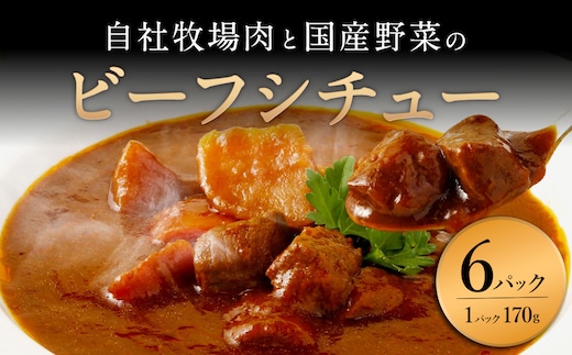 【720牧場グループ牛】自社牧場肉と国産野菜のビーフシチュー 170g×6パック 「720牧場グループ牛」100％使用 ビーフシチュー デミグラスソース 牛肉 惣菜 レトルト おかず 保存食 レンジ 簡単調理 おうちごはん 宮崎県 えびの市 送料無料