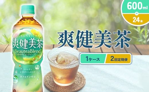 （2回定期便）爽健美茶 600ml PET【コカ・コーラ】ペットボトル 1ケース(24本) 定期便 2回(48本) セット お茶 カフェインゼロ ノンカフェイン ハトムギ ブレンド茶 宮崎県 えびの市 送料無料