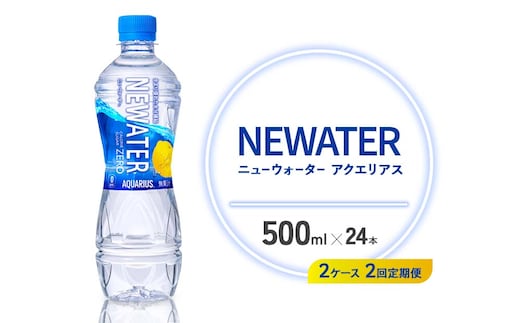 【2回定期便】アクエリアス ニューウォーター 500ml PET【コカ・コーラ】ペットボトル 2ケース(48本) 定期便 2回(96本) セット スポーツドリンク スポドリ カロリーゼロ 熱中症対策 水分補給 清涼飲料水 宮崎県 えびの市 送料無料