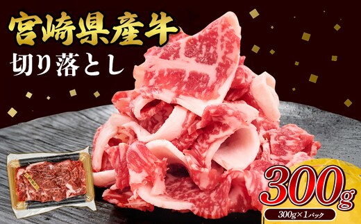 宮崎県産 黒牛 切り落とし 400g （1パック） 赤身 牛肉 ロース バラ モモ 混合 訳あり 切り落としセット 肉 お肉 牛 国産牛 ロース肉 セット 小分け 真空パック コスパ 冷凍 贈答 ギフト 人気 国産 えびの市 送料無料