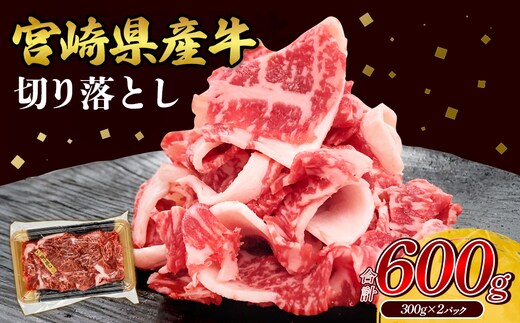 宮崎県産 黒牛 切り落とし 800g （400g×2パック） 赤身 牛肉 ロース バラ モモ 訳あり 切り落としセット 肉 お肉 牛 国産牛 ロース肉 セット 小分け 真空パック コスパ 冷凍 贈答 ギフト 人気 国産 えびの市 送料無料