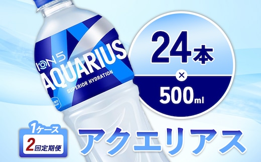 【2回定期便】アクエリアス 500ml PET × 24本 1ケース 毎月 2回 AQUARIUS スポーツドリンク スポーツ飲料 ペットボトル 熱中症対策 水分補給 コカ・コーラ Coca-Cola 運動 送料無料
