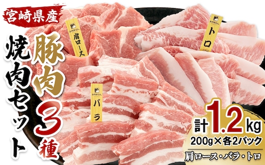 【希少部位・豚トロ入り！】宮崎県産 豚肉 焼肉バラエティセット 合計1.2kg 真空パック 200gずつの便利な小分け 食べ比べ