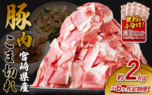 定期便 6回お届け 宮崎県産 いもこ豚 小間切れ 2kg (250g×8パック) 真空パック 小分け 豚肉 えびの市