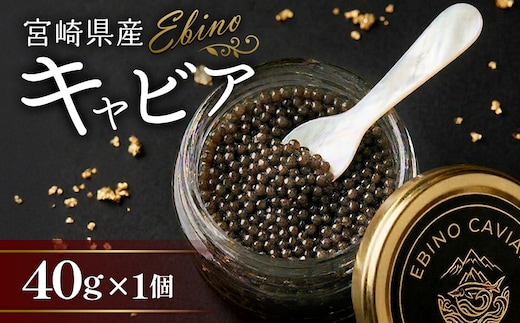 【ふるさと納税】キャビア 国産 40g 冷蔵 宮崎県 えびの市産