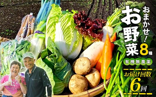 【6回定期便】特別栽培季節のお野菜セット 8品 野菜 無農薬 有機栽培 新鮮 やさい 旬 詰合せ 国産 宮崎県 九州 送料無料