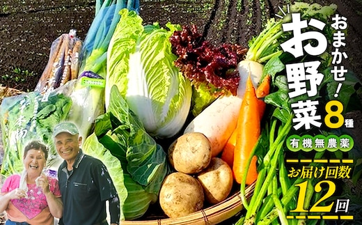 【12回定期便】特別栽培季節のお野菜セット 8品 野菜 無農薬 有機栽培 新鮮 やさい 旬 詰合せ 国産 宮崎県 九州 送料無料