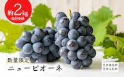 【数量限定】久保ぶどう園のニューピオーネ(約2kg) TF0273-P00005
