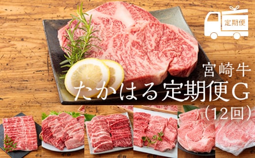 国産ブランド牛の定期便『宮崎牛たかはる定期便G』(12回) 黒毛和牛を12ヶ月毎月配送 牛肉 お肉 TF0400-P00020