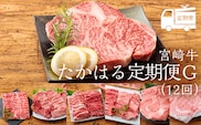 国産ブランド牛の定期便『宮崎牛たかはる定期便G』(12回) 黒毛和牛を12ヶ月毎月配送 牛肉 お肉 TF0400-P00020