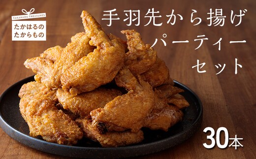 手羽先から揚げパーティセット TF0431-P00033