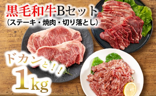 黒毛和牛Bセット（ステーキ・焼肉・切り落とし）3種で1kg TF0562-P00020