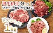 黒毛和牛Bセット（ステーキ・焼肉・切り落とし）3種で1kg TF0562-P00020