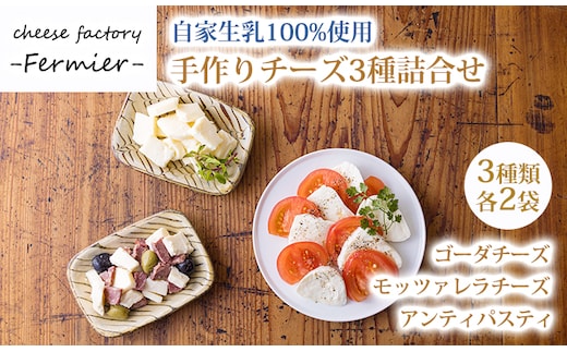 チーズ工房フェルミエ自家製チーズの詰め合わせ [モッツァレラ ゴタチーズ アンティパスティ 11000円] TF0620-P00037