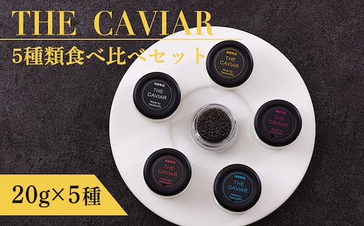 《THE・CAVIAR》ザ・キャビア5種食べ比べセット各20g(計100g) バエリ・オシェトラ・スターレット・ホワイトスタージョン・ベステル詰め合わせ [高級 国産 日本産 ギフト 贈答 贈り物 プレゼント お中元 化粧箱入り BAERII/OSETRA/STERLET/WHITE STURGEON/BESTER] TF0663-P00066