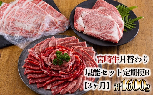 宮崎牛月替わり堪能セット定期便B[3ヶ月] 合計1600g [国産 黒毛和牛 ブランド牛 お肉 ステーキ 焼肉 しゃぶしゃぶ 50000円 5万円] TF0690-P00020