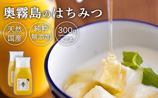 8年産春採れの新蜜 宮崎県高原町産 奥霧島のはちみつ600g(300g×2本） すぐに使えるボトルタイプの天然蜂蜜 [天然 国産 純粋 無添加 非加熱 プラ容器] TF0699-P00058