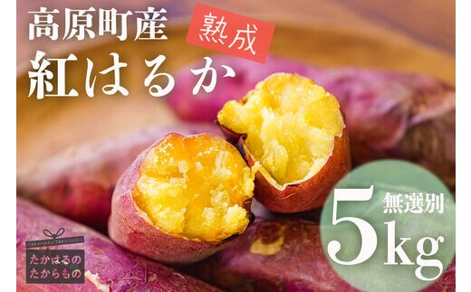 【令和7年産】高原町産 熟成紅はるか5kg（無選別）TF0719-P00061