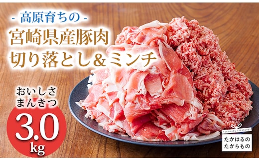 高原育ちの宮崎県産豚肉切り落とし＆ミンチ3kg おいしさ満喫 アレンジ色々 [夕食 お弁当 一人暮らし 万能食材 生姜焼き しゃぶしゃぶ ハンバーグ 餃子 肉巻き ミートソース 麻婆豆腐] TF0766-P00070