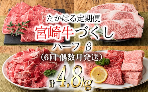 『定期便』宮崎牛たかはる定期便ハーフβ(6回 偶数月発送) 黒毛和牛のステーキ・しゃぶしゃぶ・焼肉などを品を変えて毎月お届け！ [国産牛 サーロイン ブランド牛 牛肉 お肉 150000円 15万円] TF0310-P00020