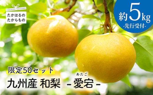 【先行受付・限定50箱】九州産 和梨「愛宕(あたご)」 5kg TF0312-P00025