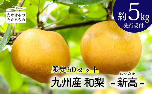 【先行受付・限定50箱】九州産 和梨「新高(にいたか)」 5kg TF0313-P00025