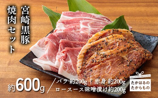 宮崎黒豚焼肉セット TF0388-P00007
