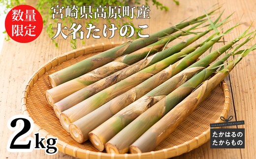【期間限定】〈先行受付〉令和8年産 旬の味わい宮崎県高原町産 大名たけのこ（筍）約2kg TF0409-P00036
