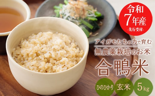 《令和7年産》無農薬栽培 合鴨米ひのひかり(玄米)5kg [2025年産 ワンストップオンライン対応] TF0424-P00029