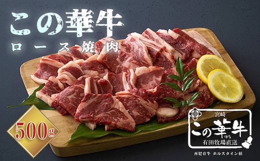 高原有田牧場直送 この華牛 ロース焼肉 (500g) TF0460-P00037