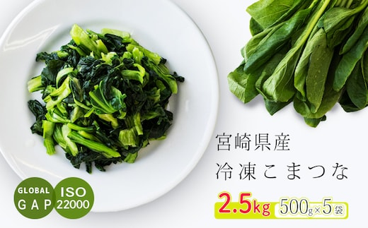 国産『冷凍こまつな(2.5kg)』 グローバルGAP取得の小松菜 時短調理につながる冷凍カット野菜 [冷凍野菜 日本産 時短料理 10000円 一万円] TF0478-P00019