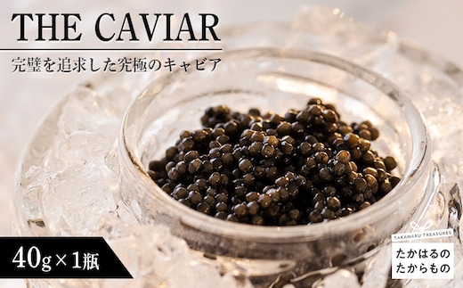 THE・CAVIAR(ザ・キャビア)40g TF0488-P00066