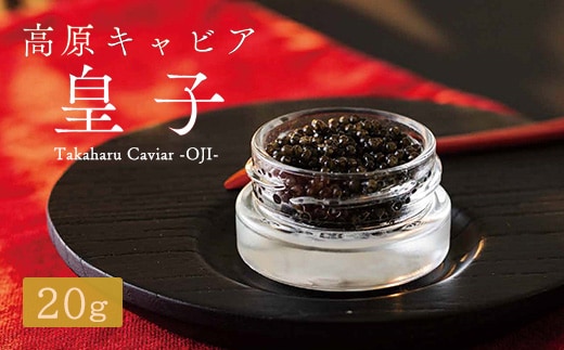 Takaharu Caviar(たかはるキャビア)『皇子』20g TF0513-P00045