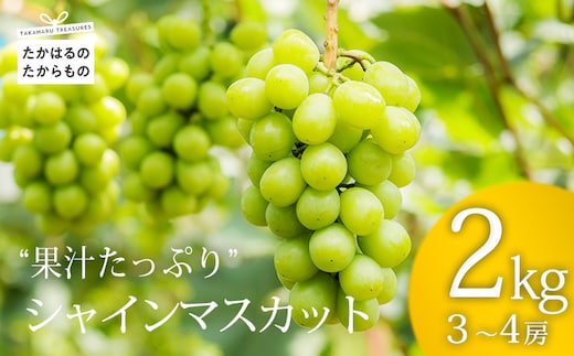 九州産シャインマスカット2kg(3～4房) 産地直送 TF0581-P00025