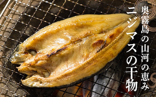 ニジマスの干物《奥霧島の山河の恵み》国産の天然塩と魚醤で味付けた川魚「虹鱒」の開き TF0791-P00045