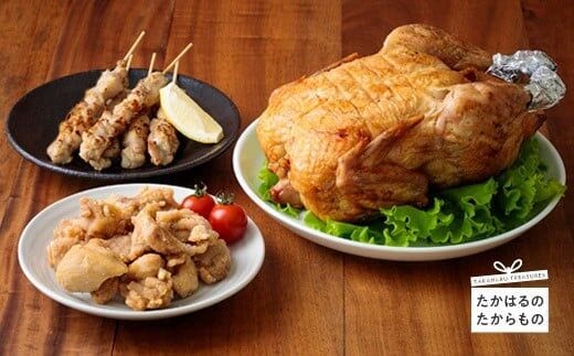 《4人前～5人前》能勢どんのパーティセット(冷蔵)[炭火焼き 串焼き 焼き鳥 焼鳥 やきとり から揚げ 唐揚げ からあげ 時短調理 簡単調理 九州産若鳥 お惣菜 レンチン クリスマス パーティ ワンストップオンライン] TF0369-P00016