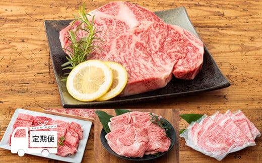 国産ブランド牛の定期便『宮崎牛たかはる定期便Z』(年6回:偶数月発送) 黒毛和牛 牛肉 お肉 TF0402-P00020