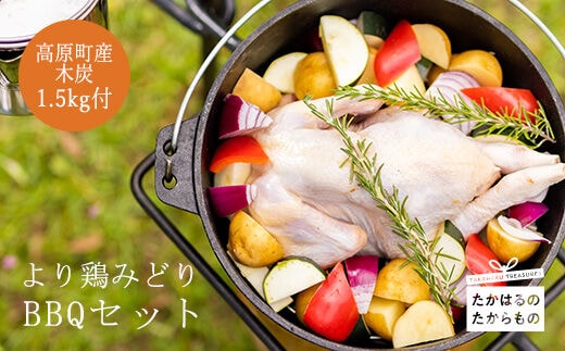 より鶏みどりBBQセット TF0474-P00033