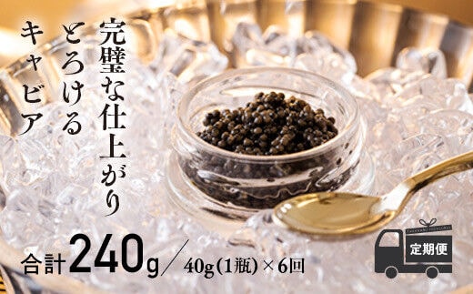 『定期便』:6ヶ月 THE・CAVIAR(ザ・キャビア)40g TF0493-P00066