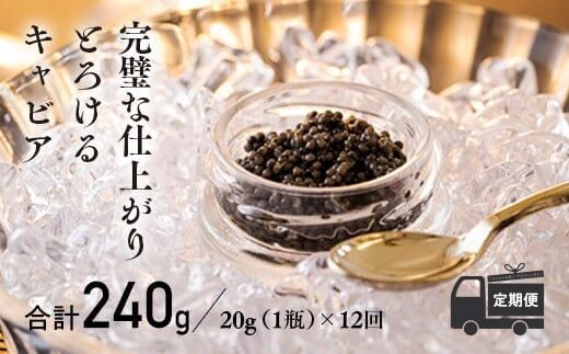 『定期便』:12ヶ月 THE・CAVIAR(ザ・キャビア)20g TF0495-P00066