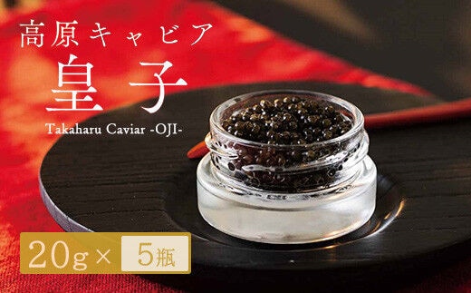Takaharu Caviar(たかはるキャビア)『皇子』20g×5瓶セット TF0515-P00045