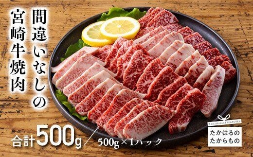 厳選 宮崎牛焼肉用500g 【内閣総理大臣賞4連続受賞】日本一の黒毛和牛 [ブランド牛 国産牛 牛肉 日本産 お肉 焼肉セット] TF0556-P00020