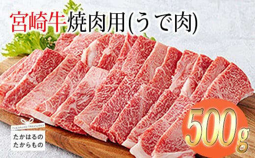 宮崎牛焼肉（うで肉）約500g TF0568-P00012