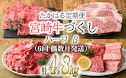 『定期便』宮崎牛たかはる定期便ハーフβ(6回 偶数月発送) 黒毛和牛のステーキ・しゃぶしゃぶ・焼肉などを品を変えて毎月お届け！ [国産牛 サーロイン ブランド牛 牛肉 お肉 150000円 15万円]  TF0310-P00020
