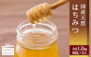 高原町産天然はちみつ　1.2kg(600g×2本) TF0364-P00011
