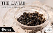 THE・CAVIAR(ザ・キャビア)40g TF0488-P00066